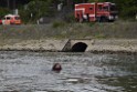 Uebung BF Taucher und Presse Koeln Zoobruecke Rhein P071